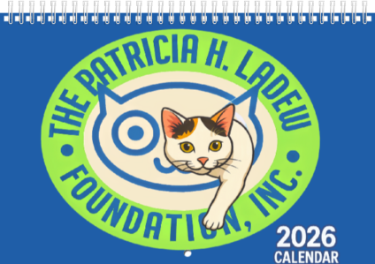 aad5d95d218c4cf09a049e3cc12f77a9.png