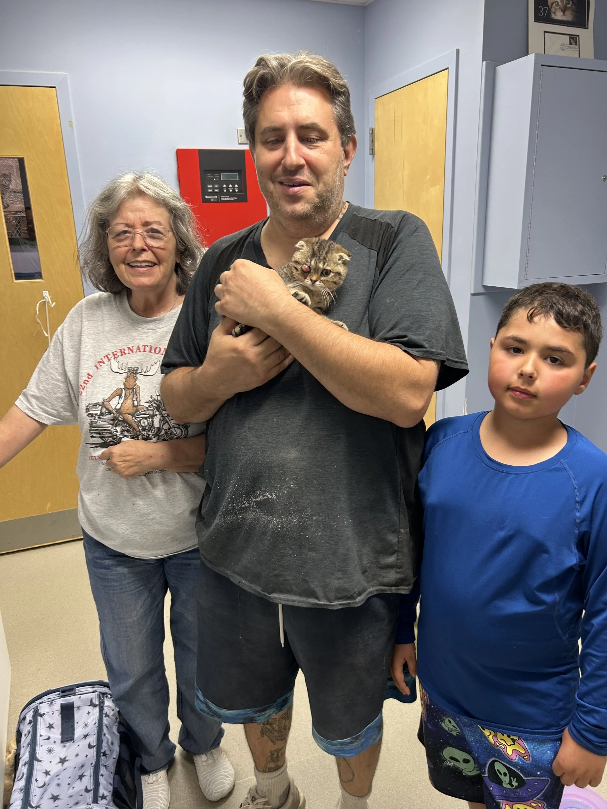 Chestnut.jpg