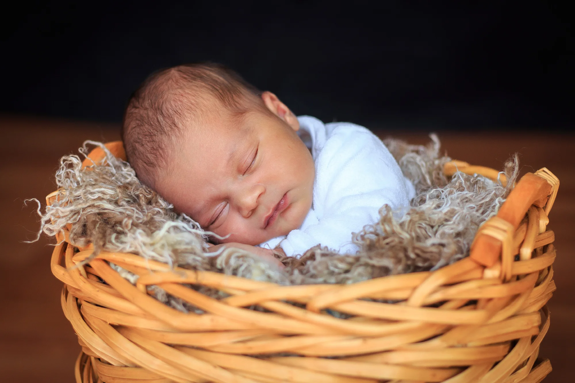 Fall Family Photography - The Anton Family