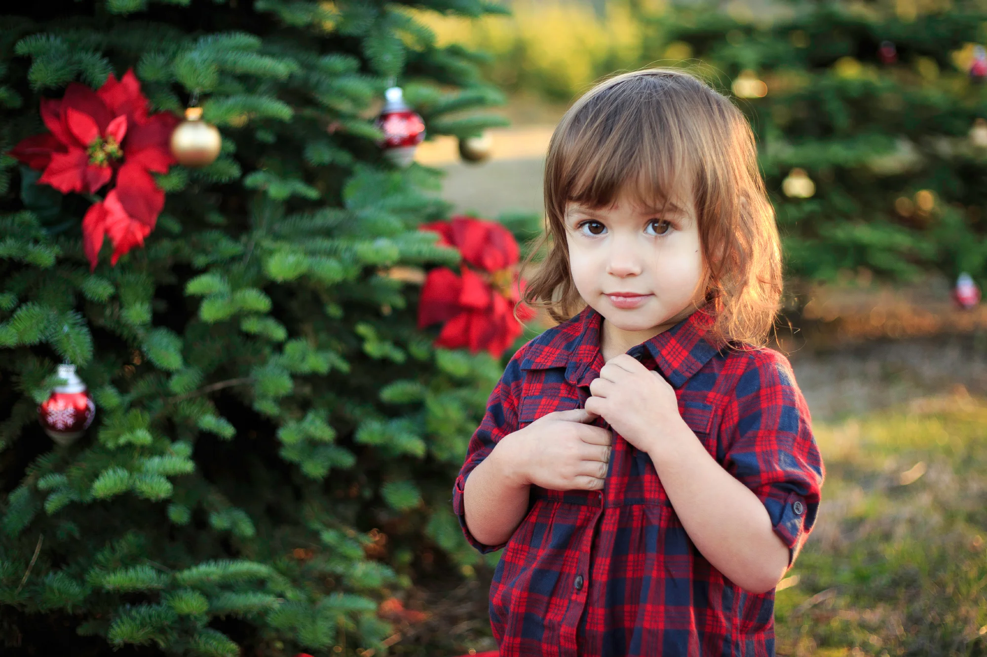 Winter Family Photography at Oregon City Tree Farm - Nikol & Hazel