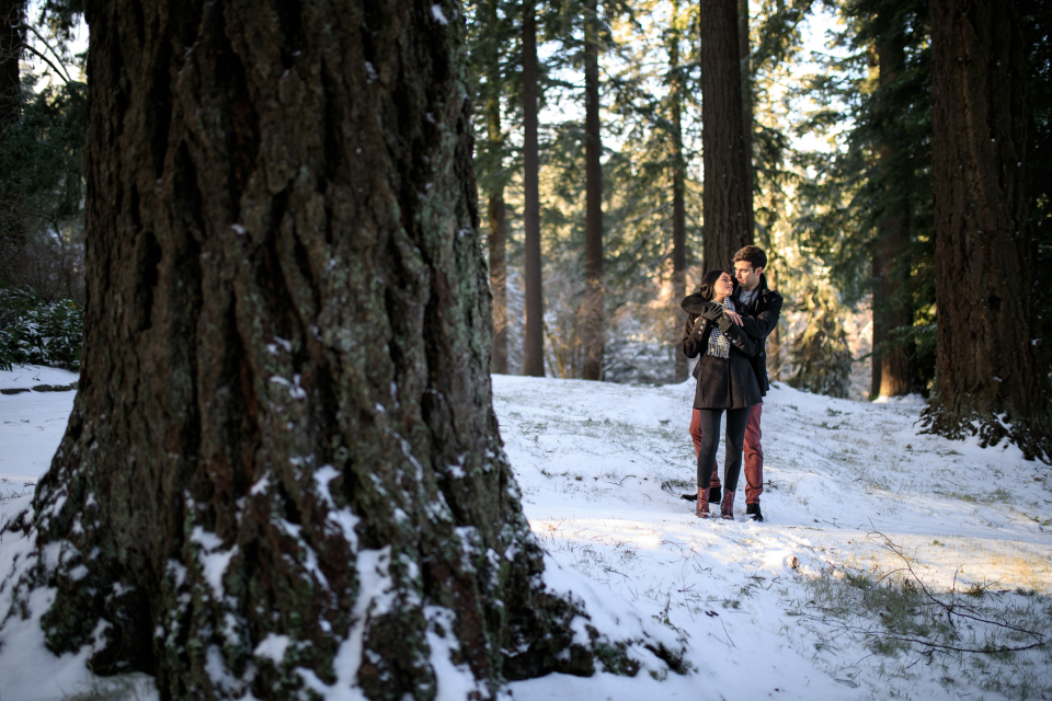 best-portland-engagement-photographer-courtney-dan-winter-hoyt-arboretum-10.jpg