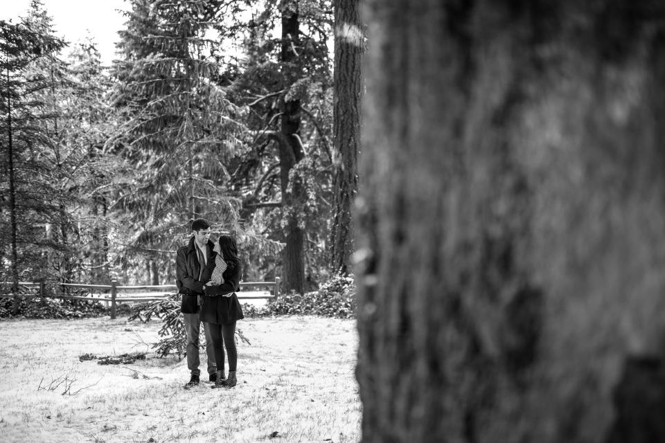 best-portland-engagement-photographer-courtney-dan-winter-hoyt-arboretum-13.jpg