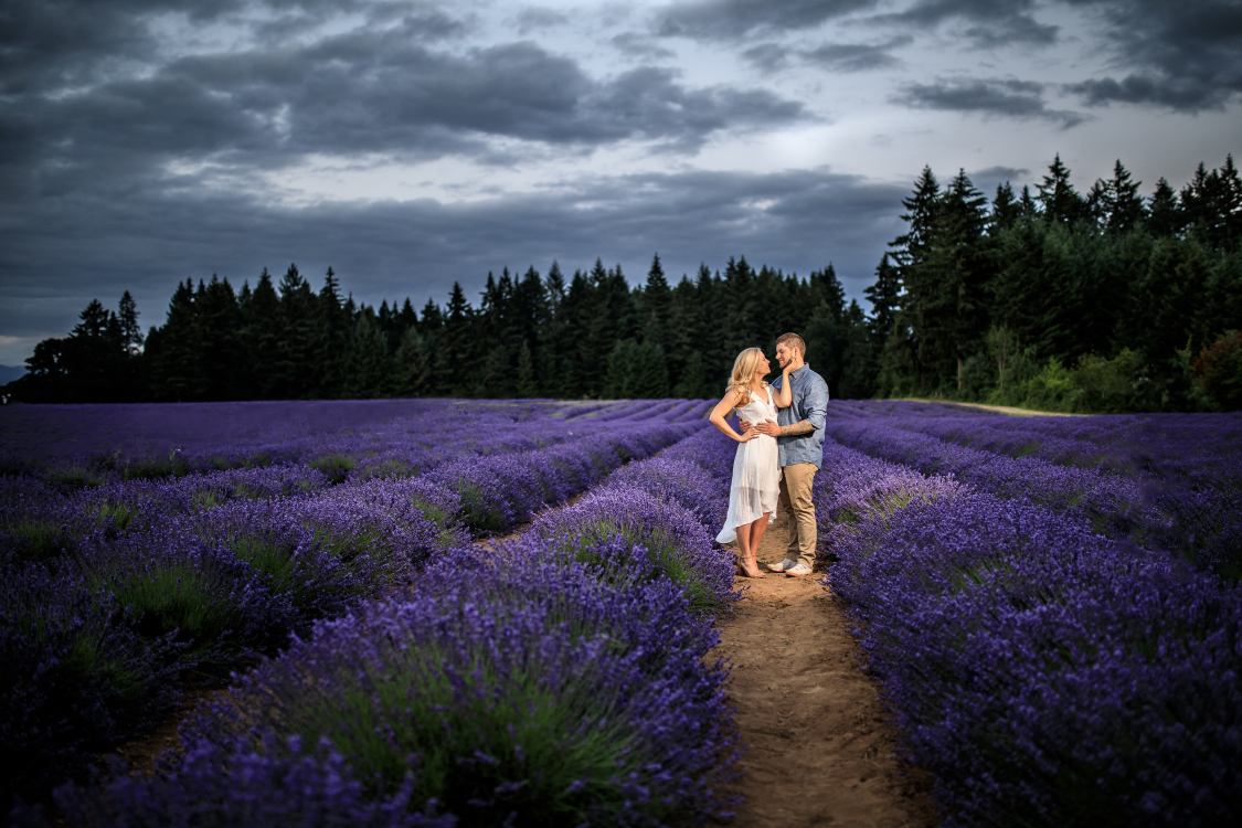 portland-engagement-photographer-the-oregon-lavender-farm-sondra-austin-14.jpg