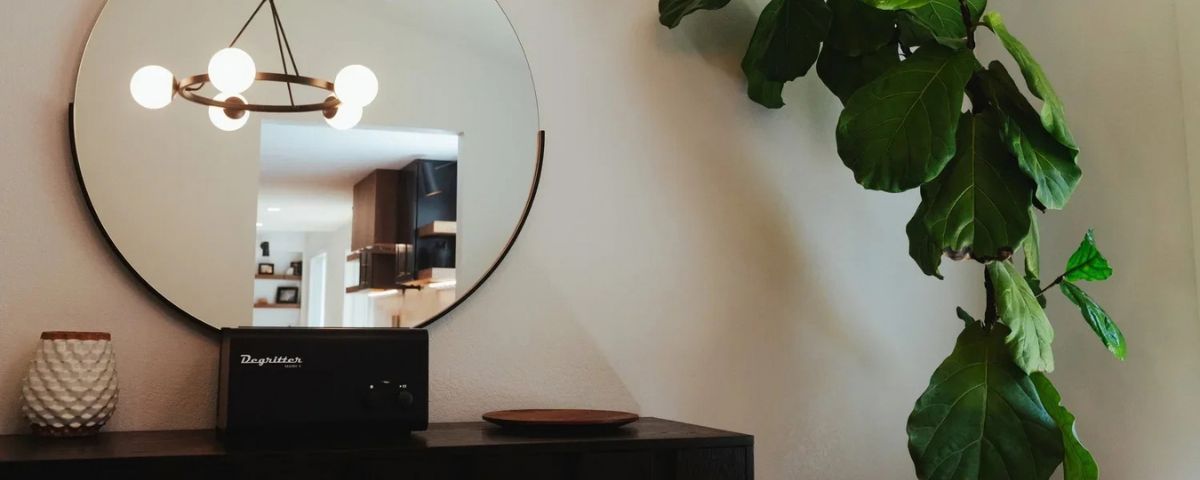 large plant with a circular mirror and fancy ceiling lamp in bremerton, washington