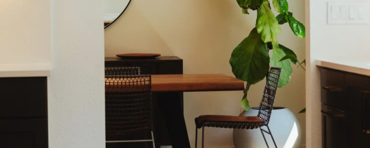 wooden tabletop kitchen table with a big green plant and wire chairs in bremerton, washington