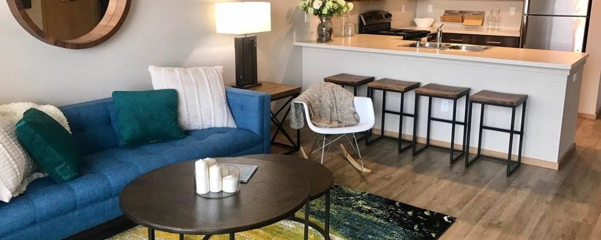 blue couch with a modern kitchen in bremerton, washington