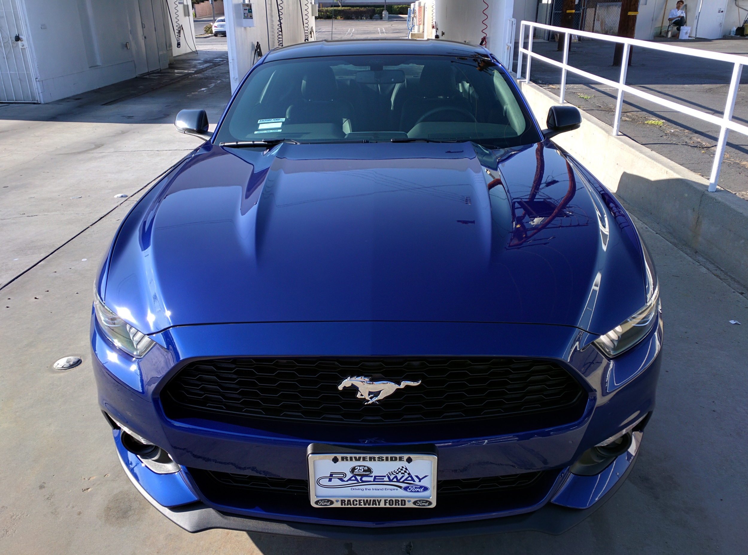 IMG_20150613_174322.jpg