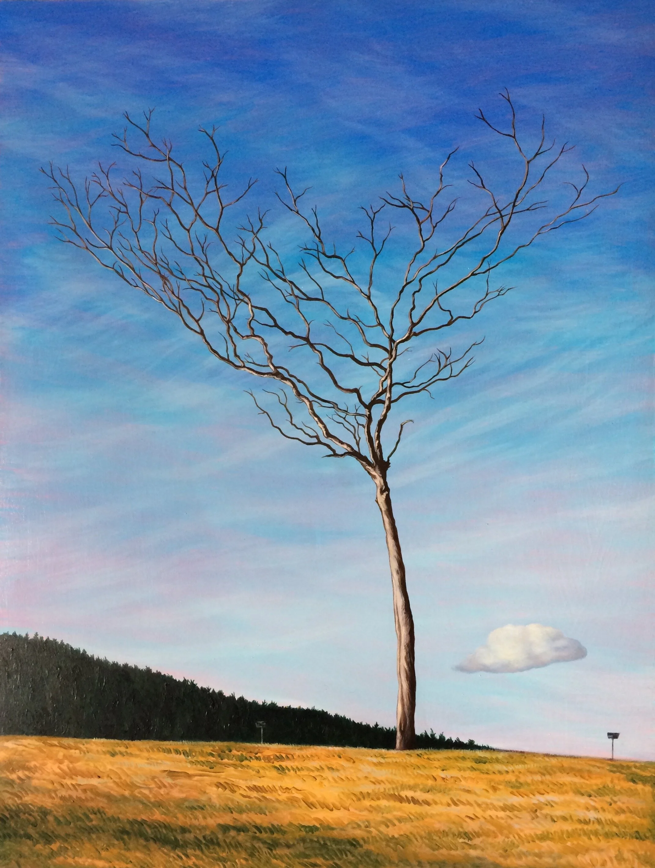 “Winter Tree, Ōpoho” 2019 609 x 458mm