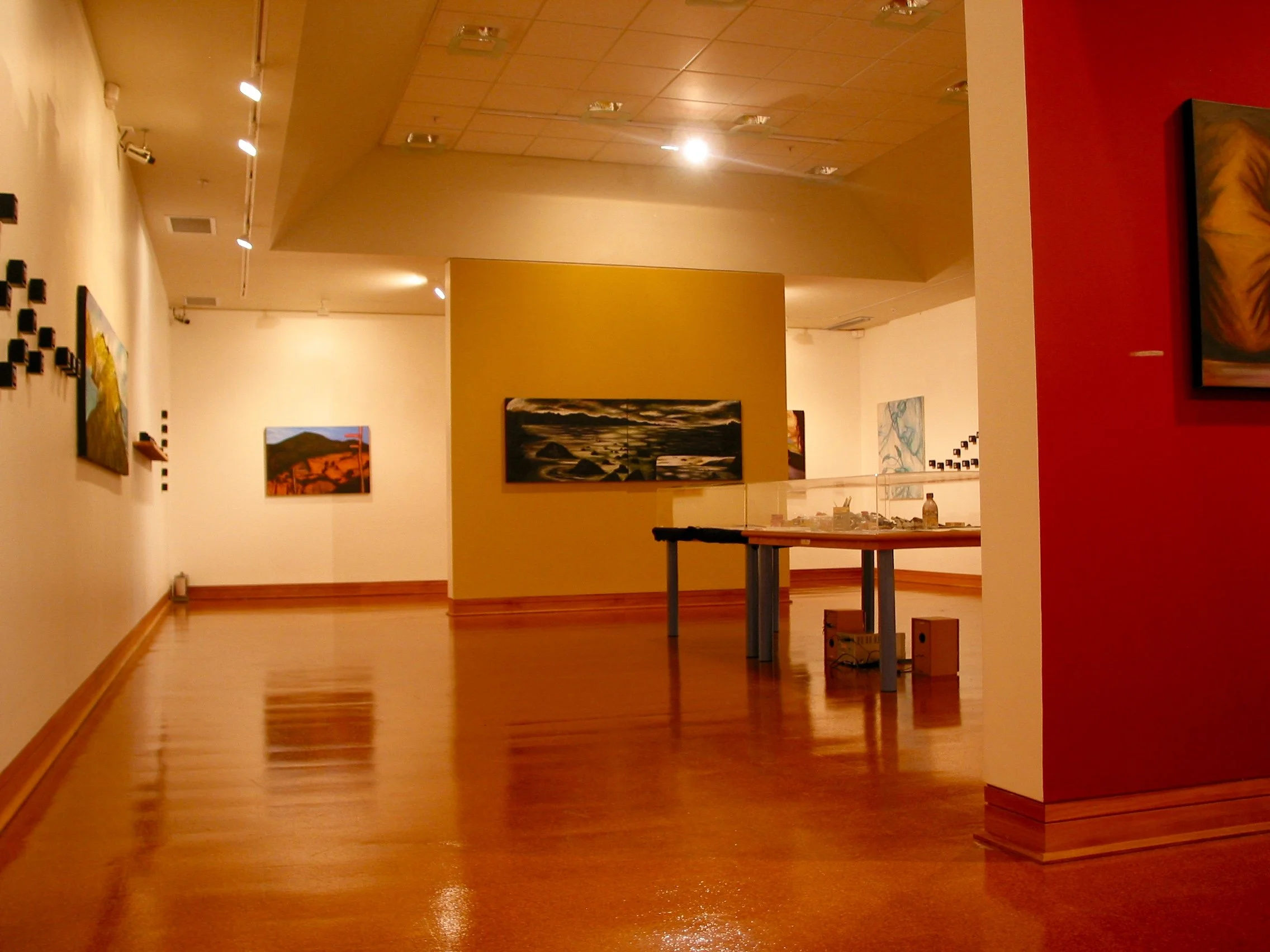 Fanny and me: Liz Abbott, Hocken Library, Dunedin 20 May – 15 July 2006 