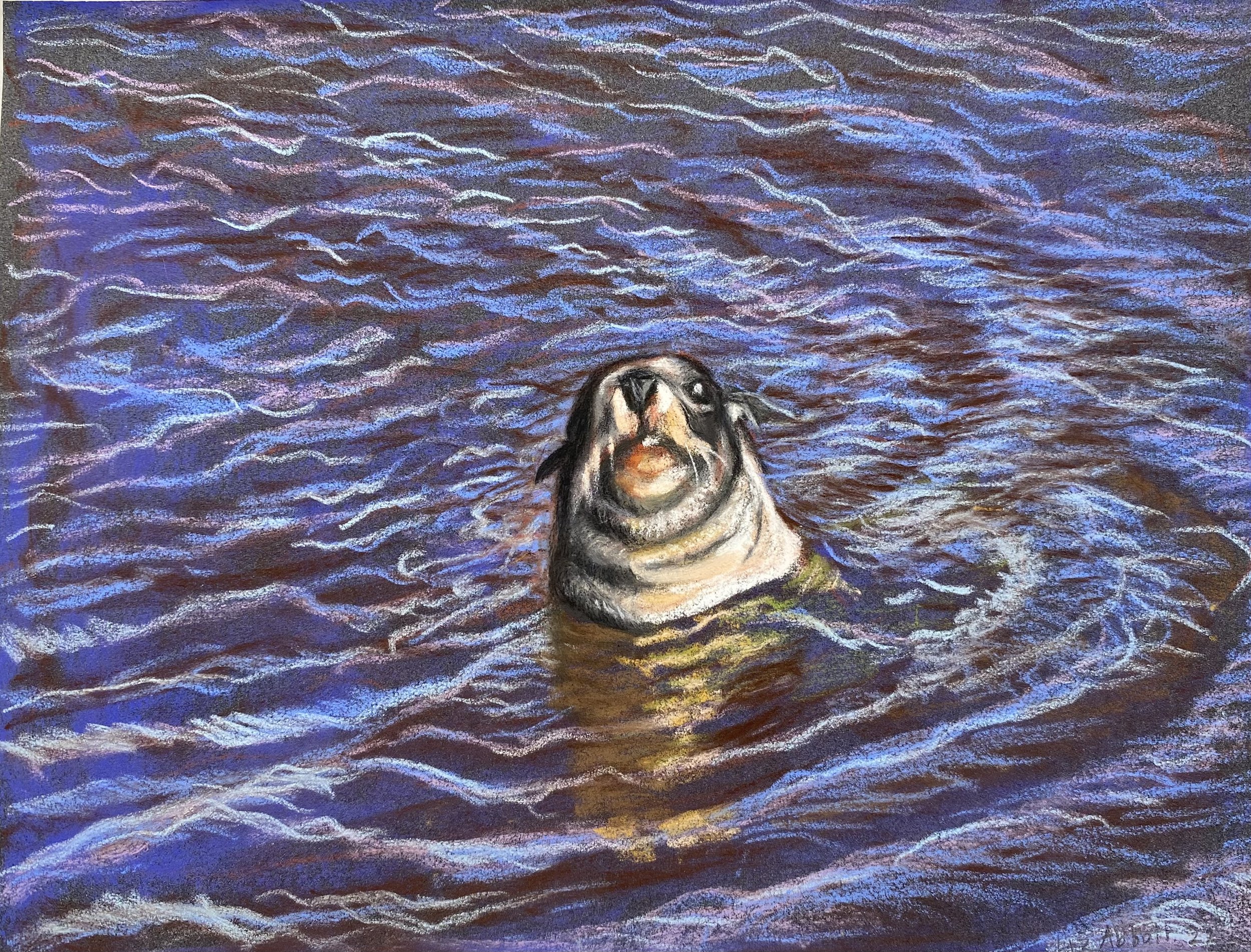 “Pakake in the paddling pool” ” Liz Abbott 2022 Pastel on paper 238 x 180mm