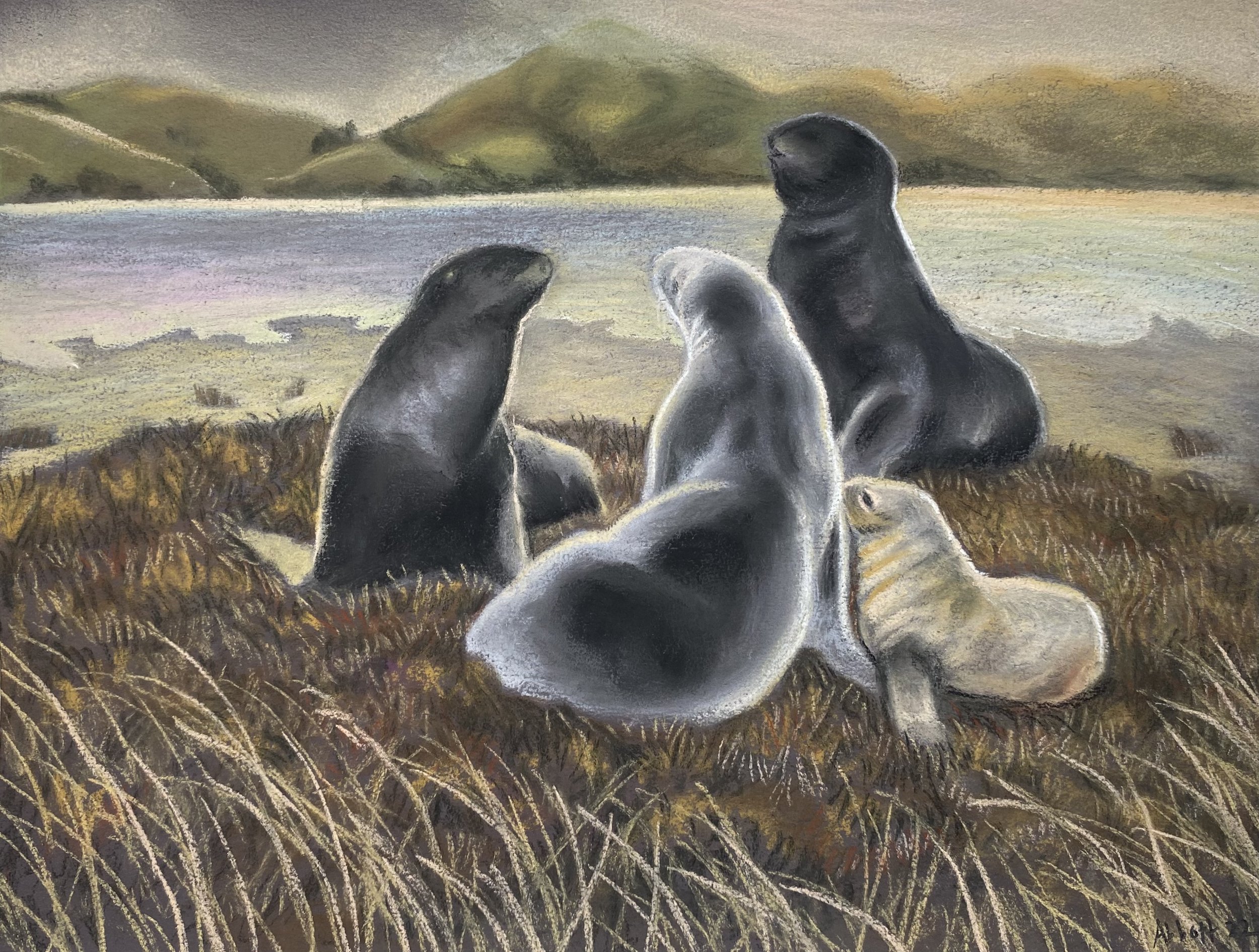 “Pakake family group” ” Liz Abbott 2022 Pastel on paper 300 x 228mm