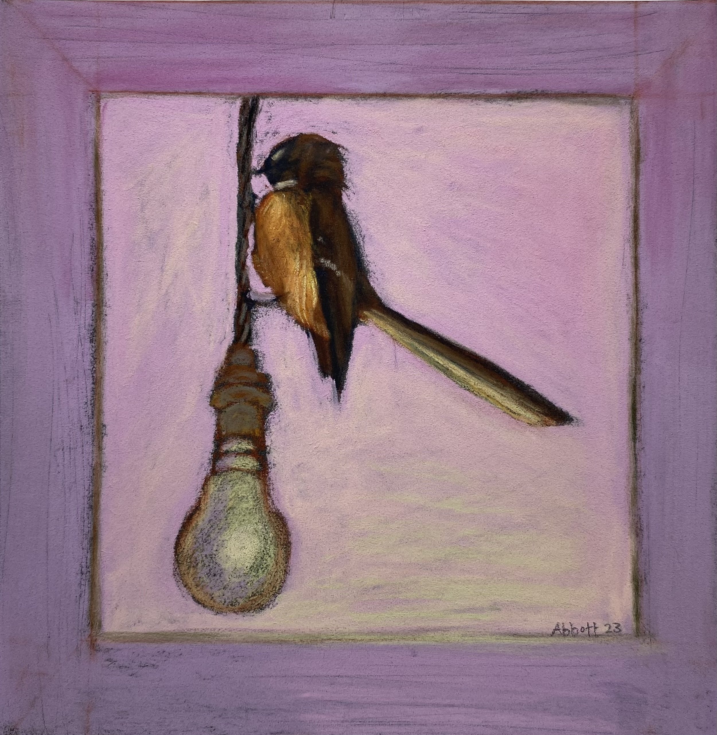 “Pīwakawaka Study (lightbulb) IV” Liz Abbott 2023 Pastel on paper 180 x 183mm