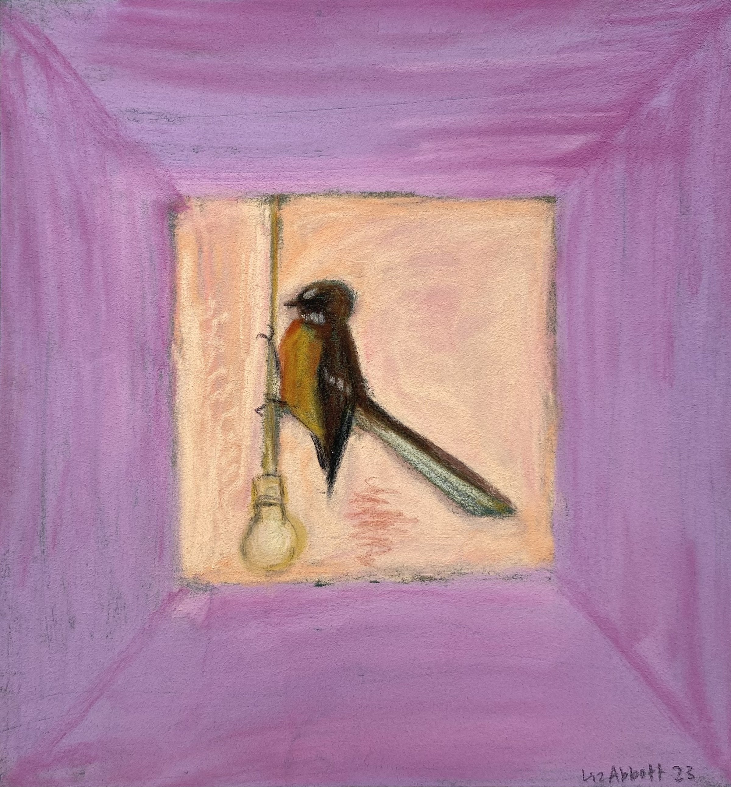 “Pīwakawaka Study V” Liz Abbott 2023 Pastel on paper 135 x 142mm