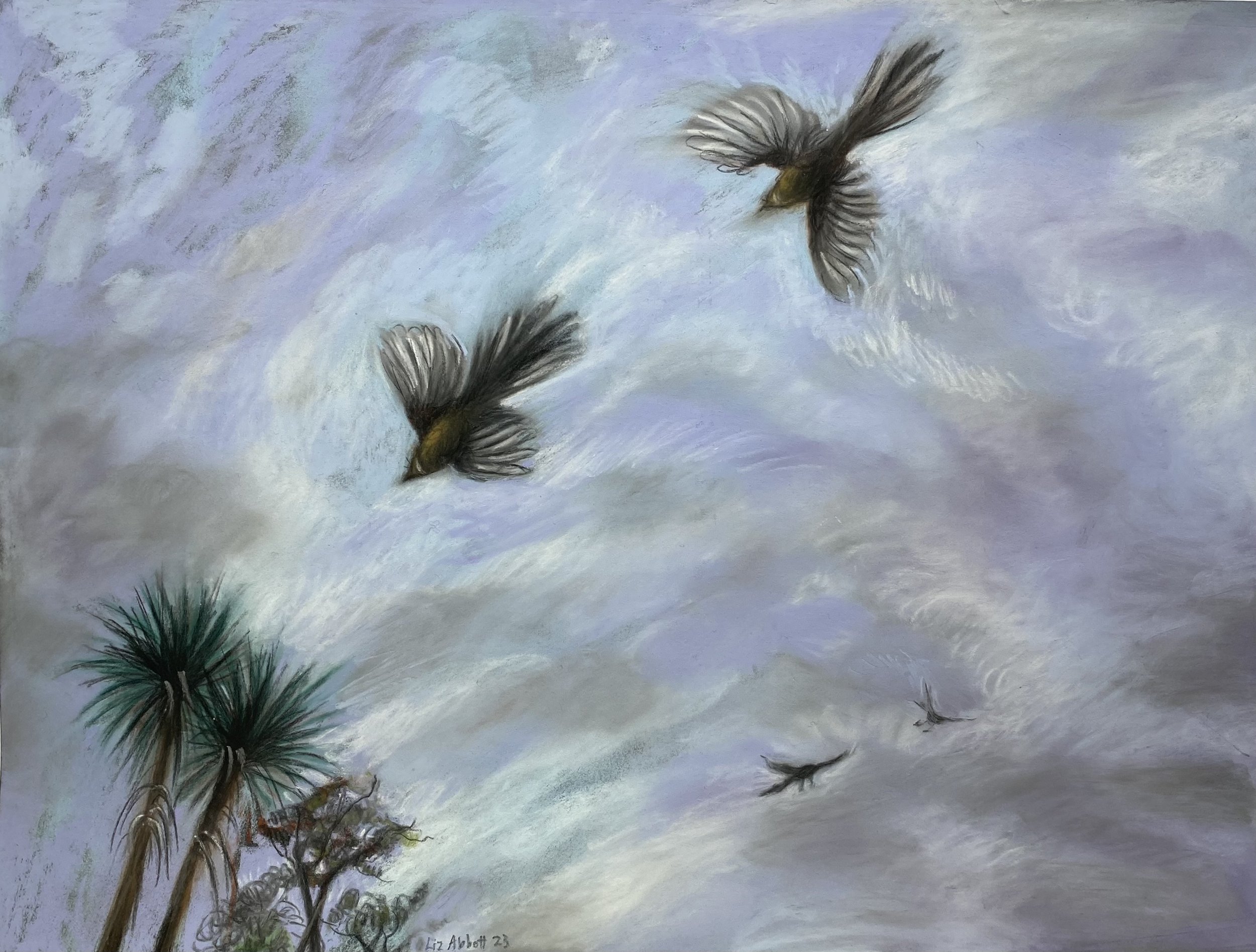 “Swooping pīwakawaka” Liz Abbott 2023 Pastel on paper 397 x 300mm