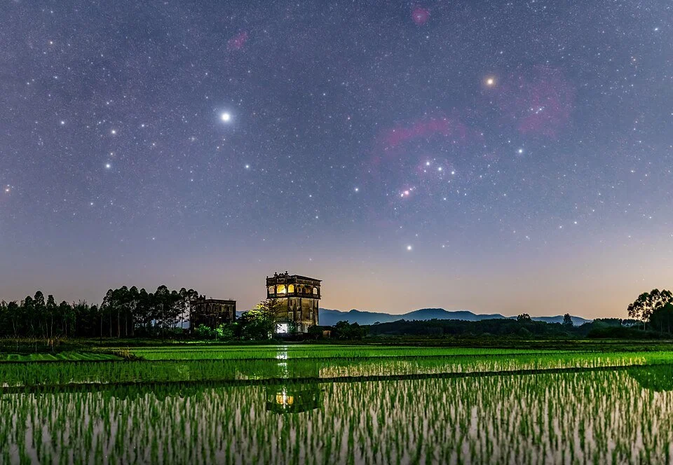 960px-Watchtower_and_Paddy_Fields_Under_the_Starry_Sky_(ann22042j).jpg