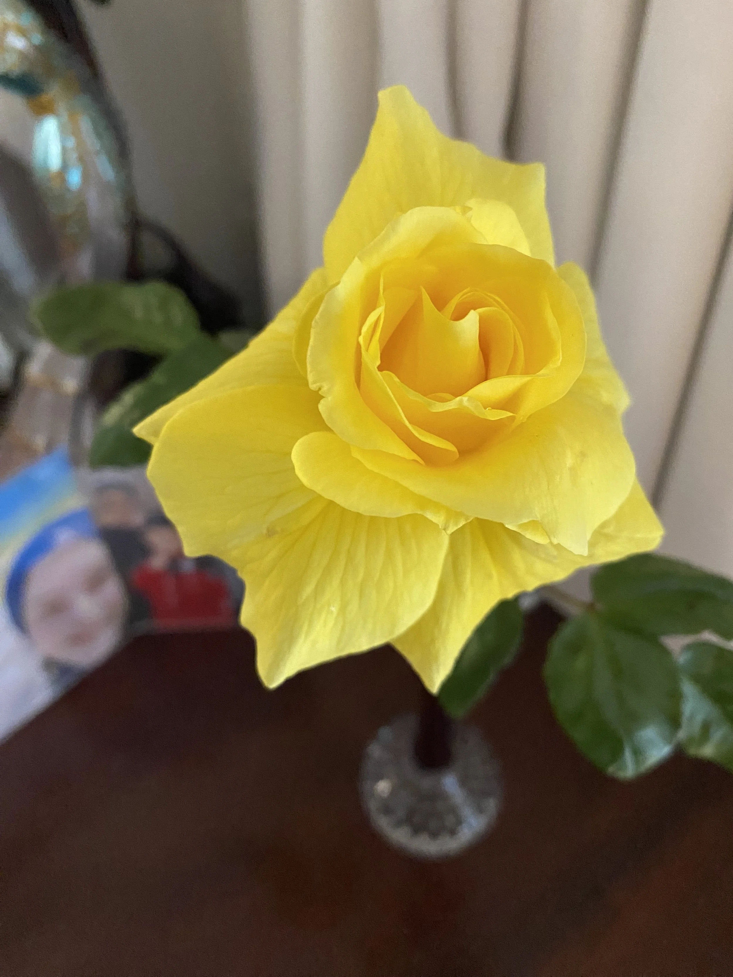 IMG_3430.jpeg