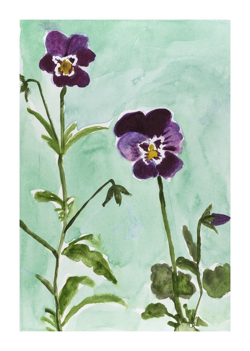 Viola II copy.jpeg