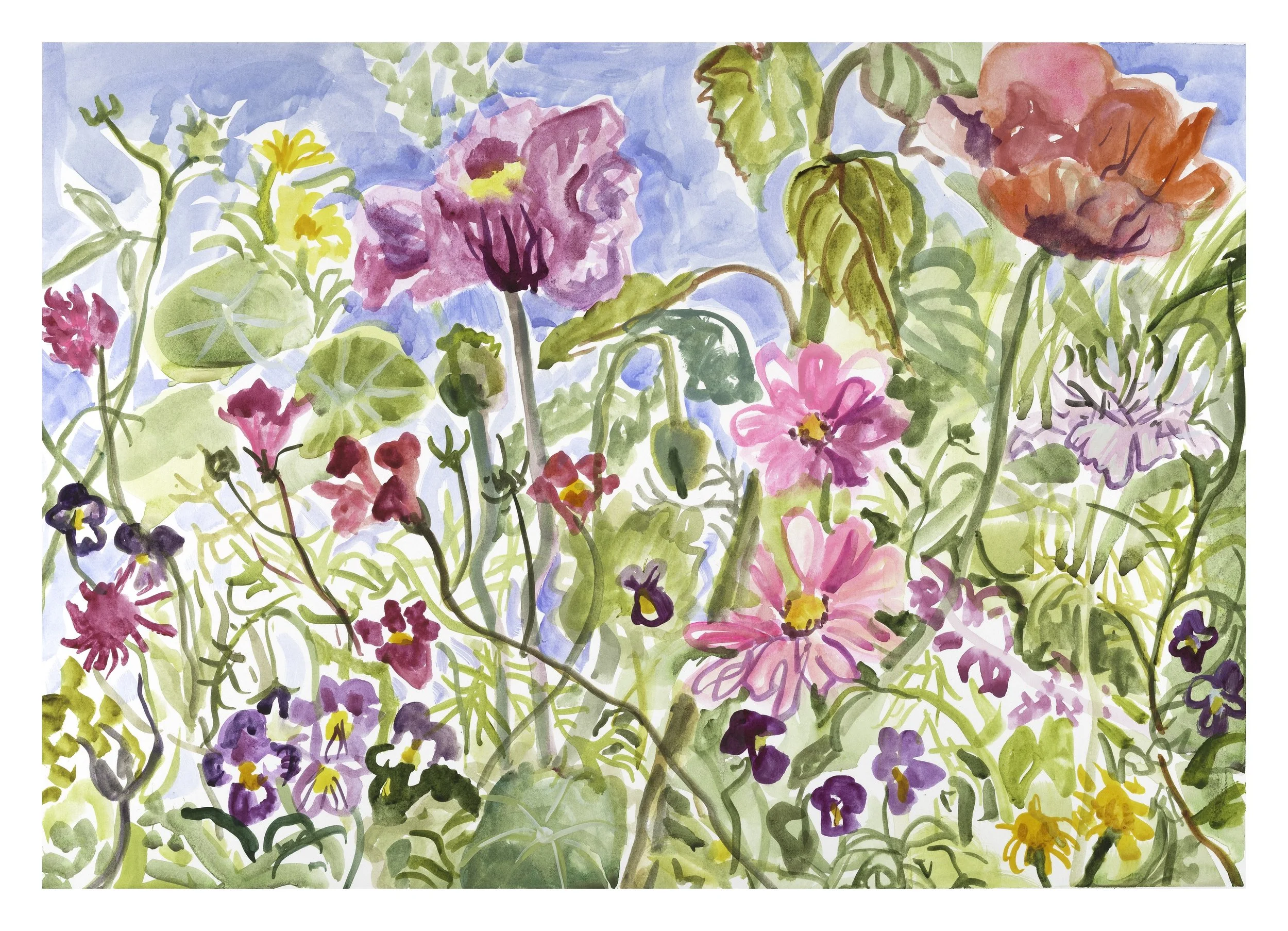 Flowerbed Of Poppies copy.jpeg