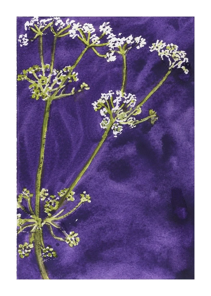 Celery In Flower copy.jpeg