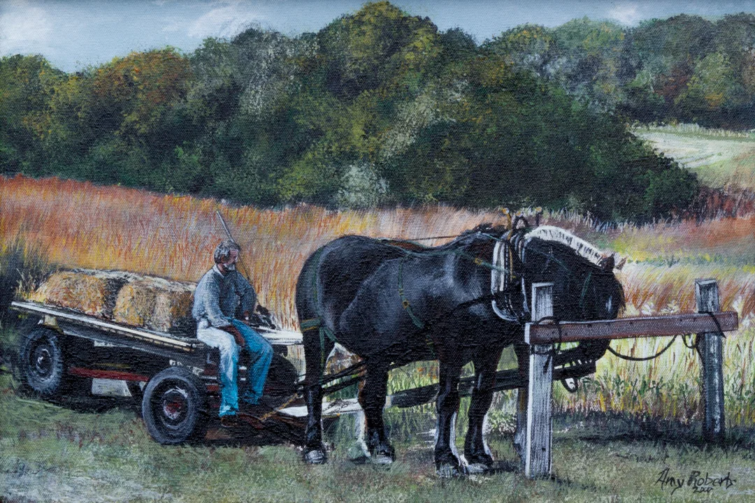 Kansas Hayride