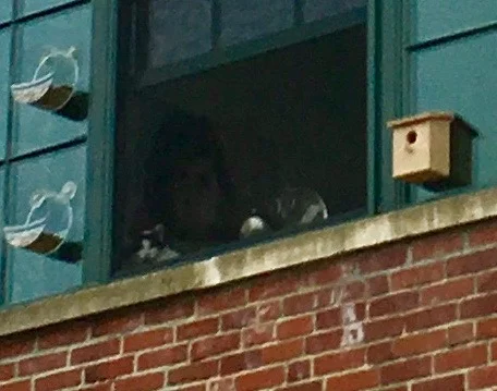 Outside the studio
