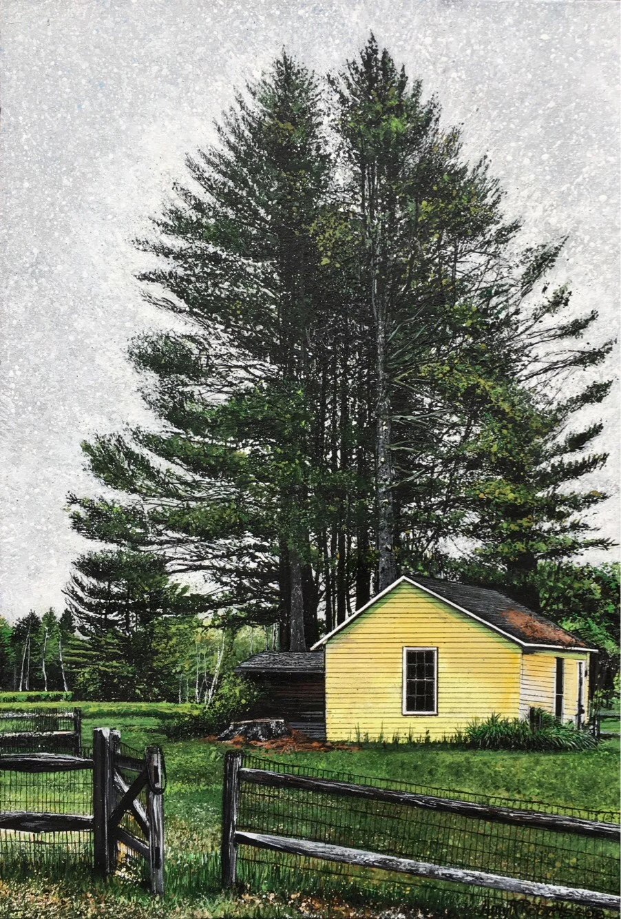 A Stand of Pines