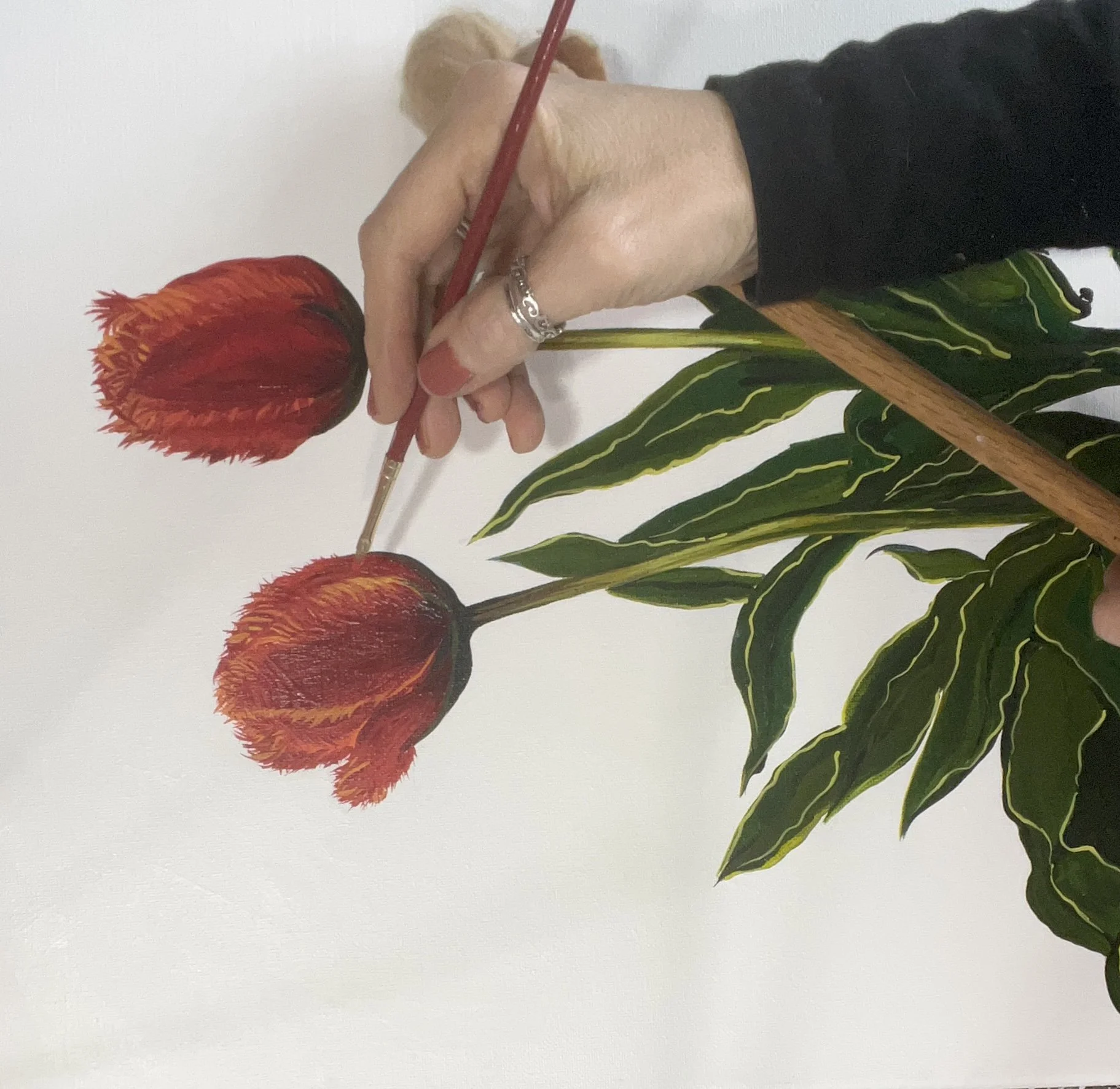 tulipssm2.jpg
