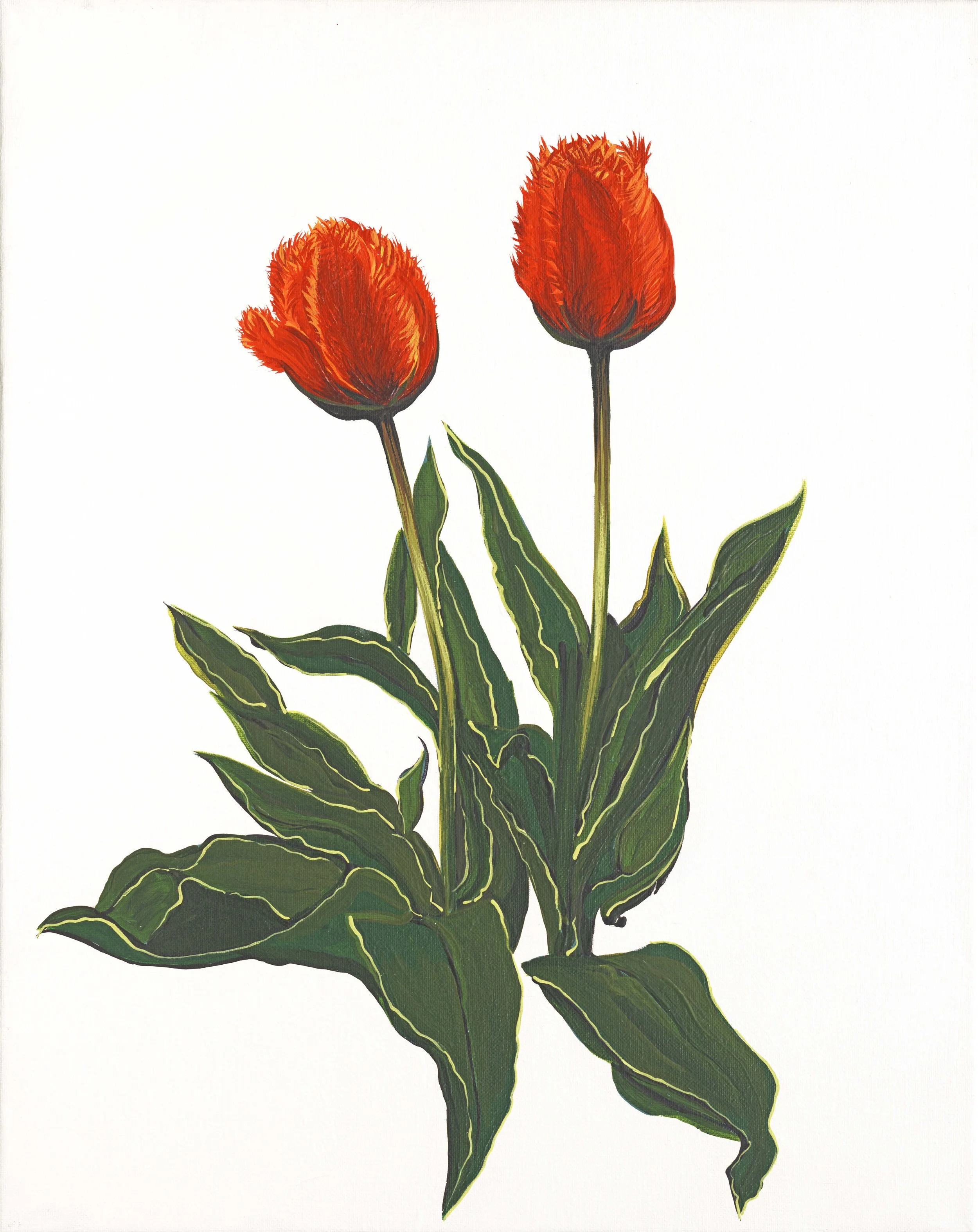 Savour the Journey Tulip