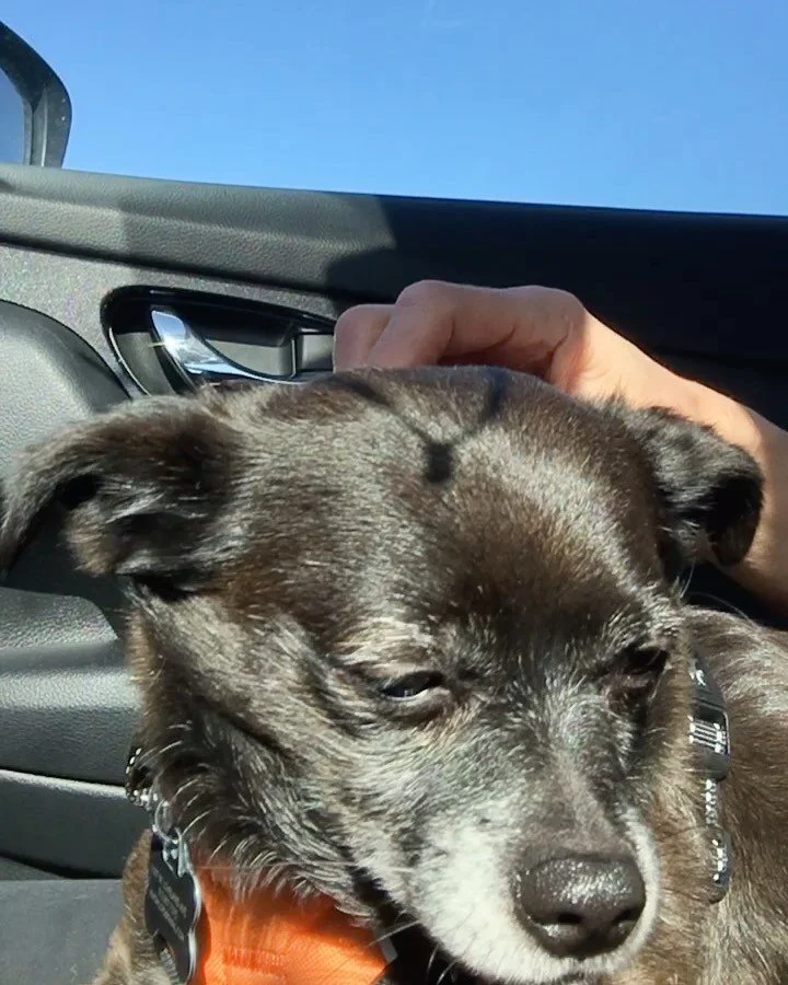 &ldquo;The only thing that makes life possible is permanent, intolerable uncertainty; not knowing what comes next.&rdquo;
.
Ursula K LeGuin
.
What a year 2021 has been for me and my family. I&rsquo;m grateful for all of it. Here&rsquo;s to what comes