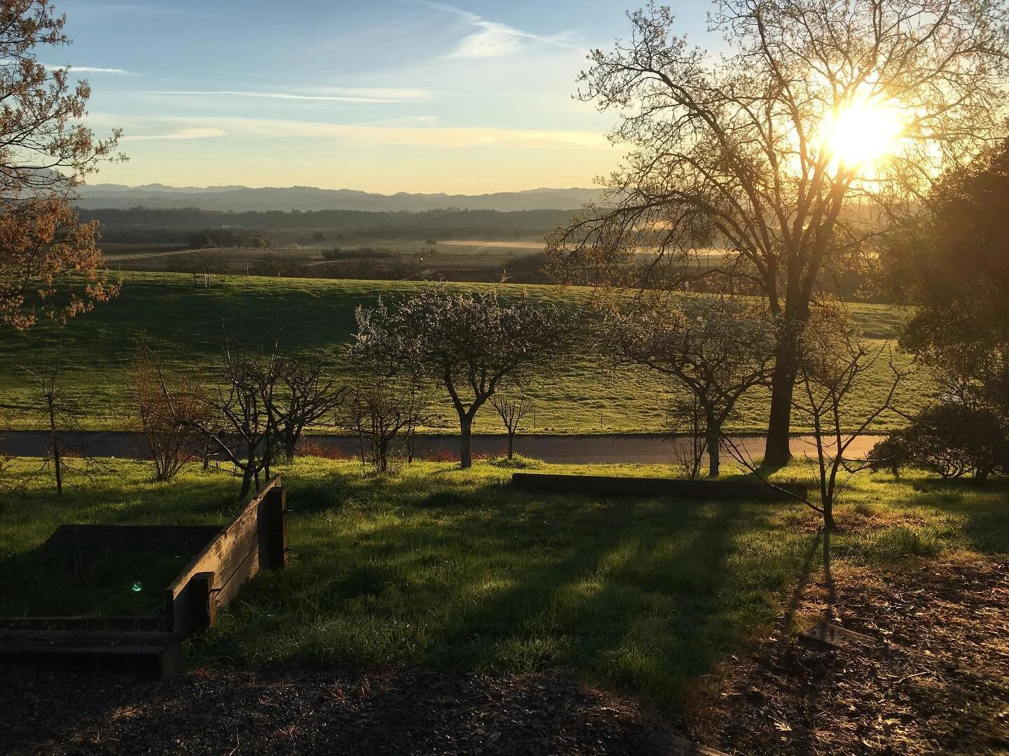 last weekend #bishopsranch #california #healdsburgca