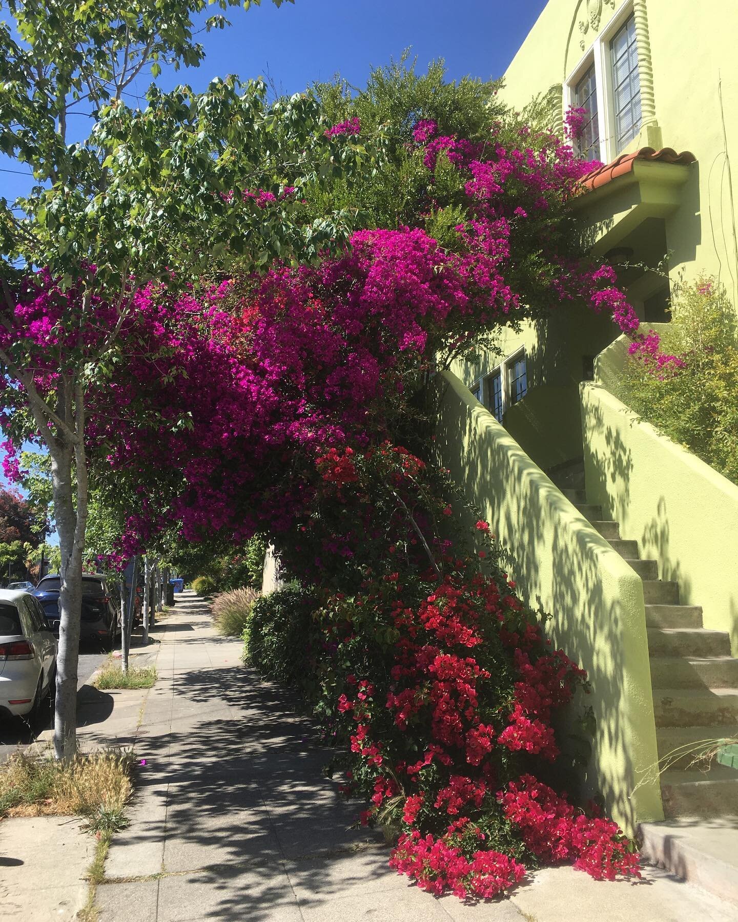 final days in Berkeley, California