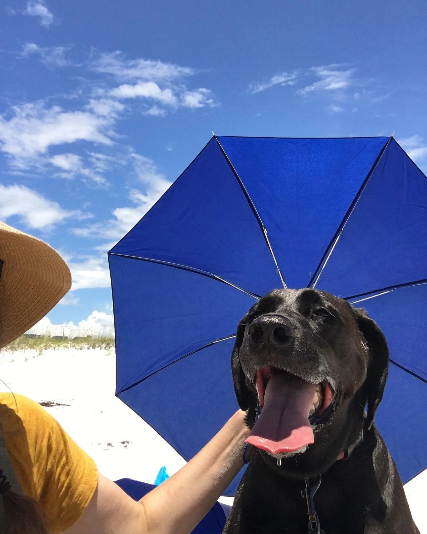 today in my home state