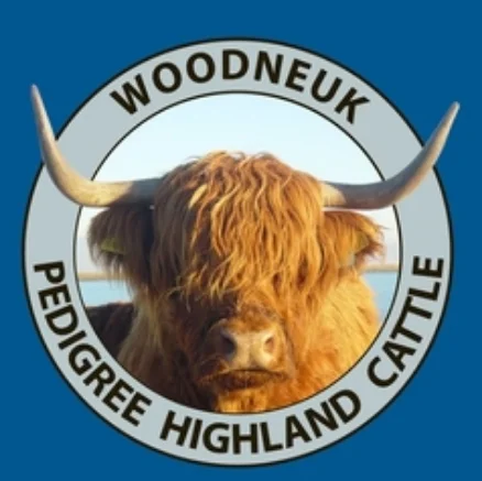 Woodneuk_Banner.jpg