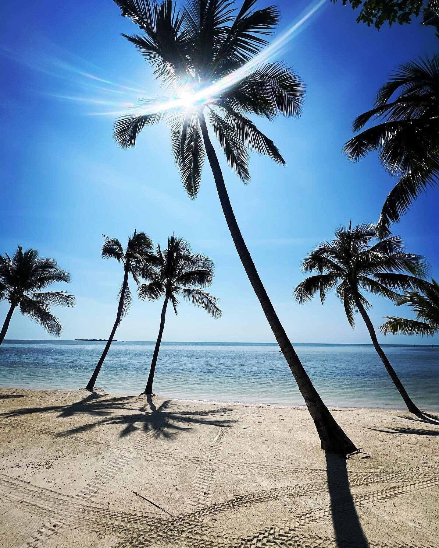 Paradise Is Calling 🌴 This property is listed with @flkeyssoldsisters_oceansir #islamorada #floridakeys #paradisefound #palmtrees #80degrees