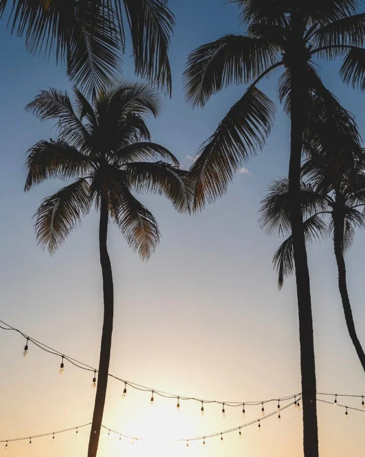 Chasing golden skies beneath the palms🌅🌴⁠
⁠
📸 @moradabaykeys ⁠
⁠
#islamorada #floridakeys #flkeys #sunset #vacation #goodvibes #palmtreebreeze ⁠