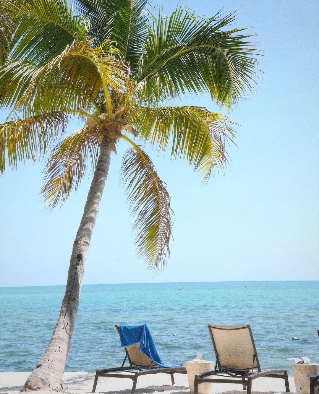 Islamorada is a true paradise🌴🐚🌸⁠
⁠
📸 @emmanorthmich⁠
⁠
#islamorada #photography #floridakeys #flkeys #traveldestination #vacay #paradise⁠
⁠