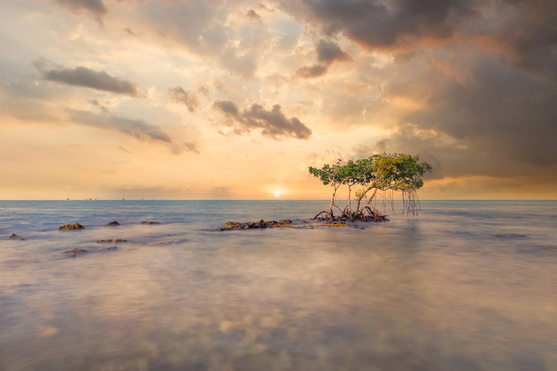 Florida Keys 12 .jpg