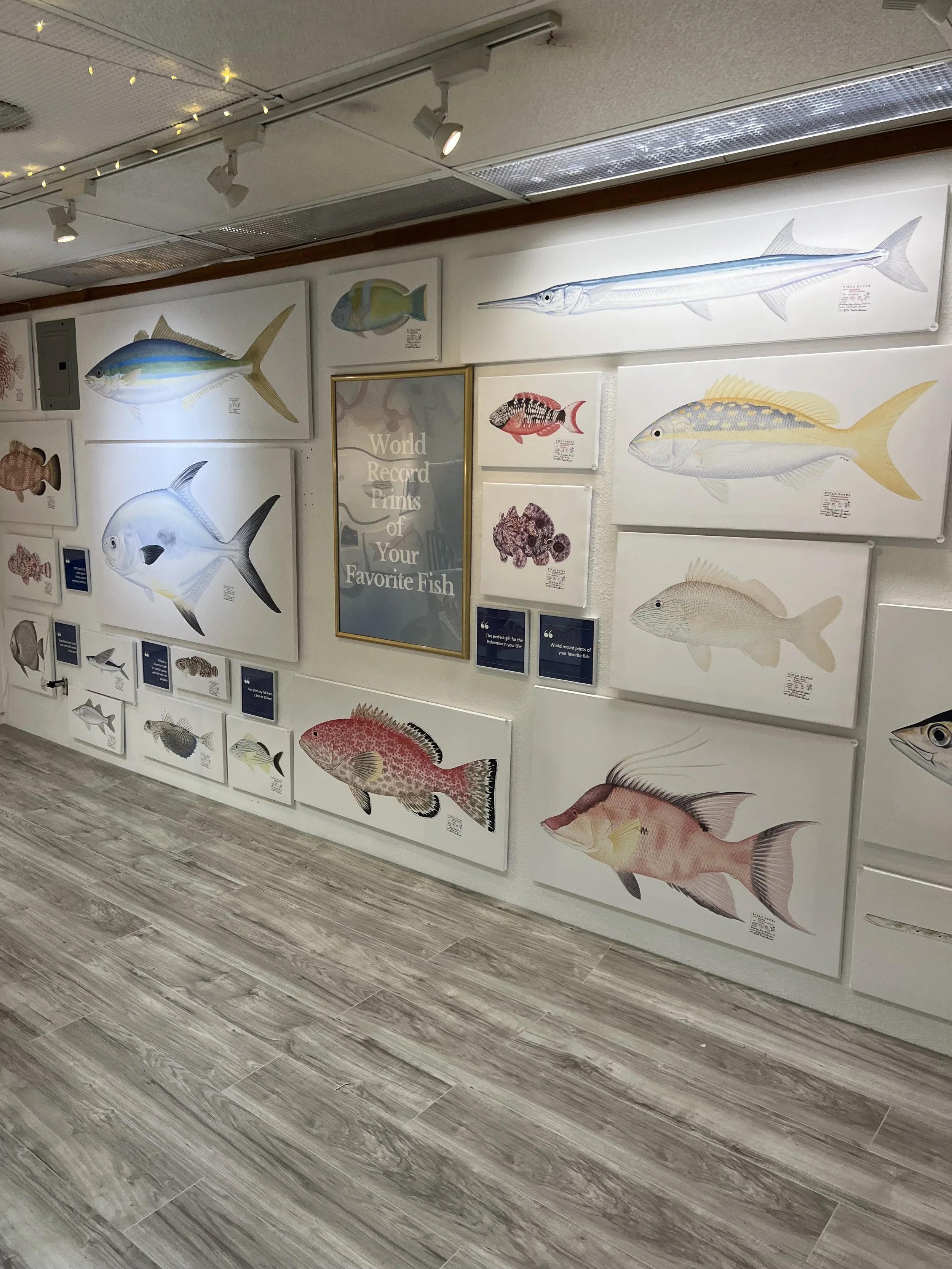 fish print shop 2.webp
