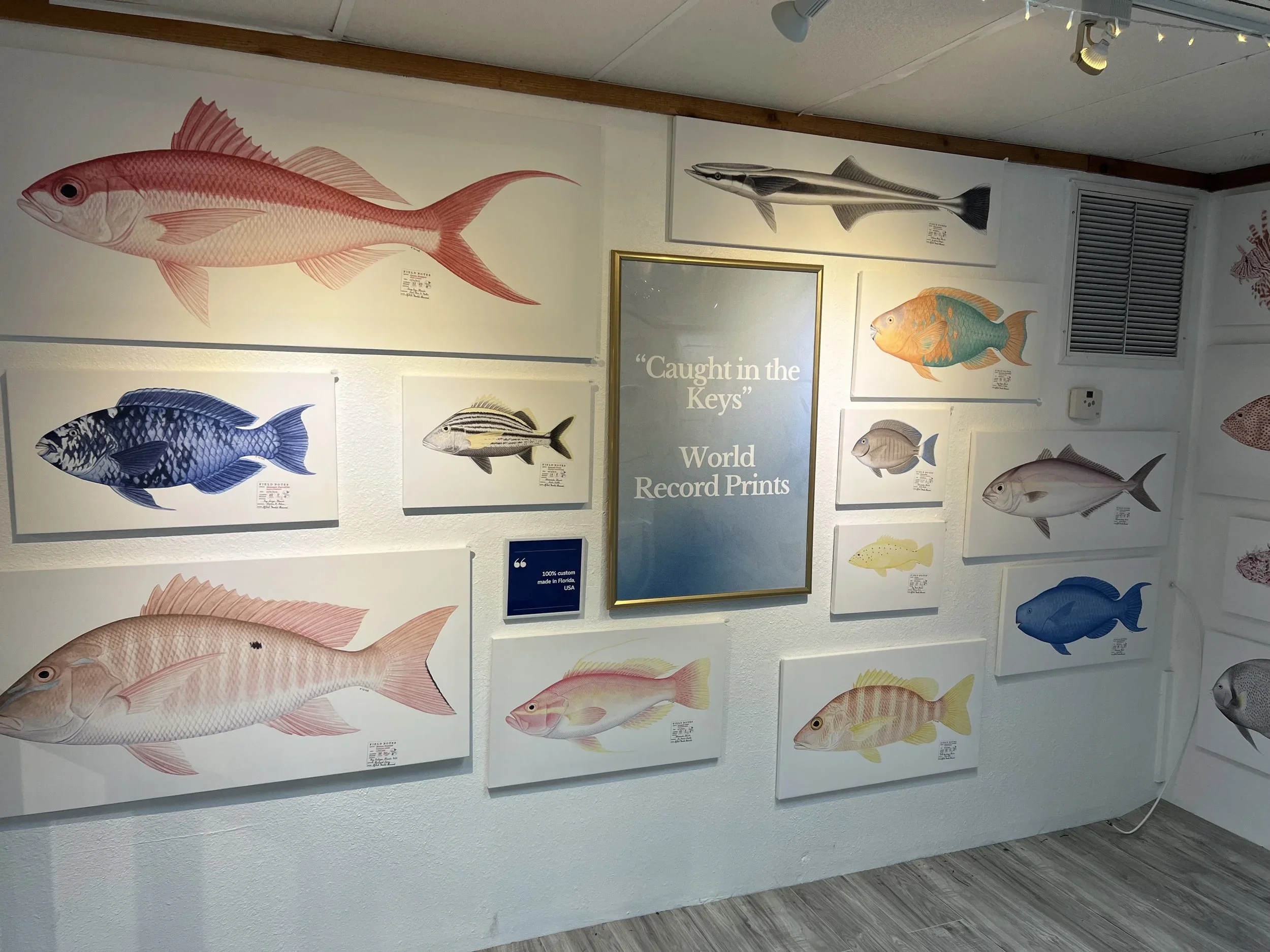 fish print shop 6.webp