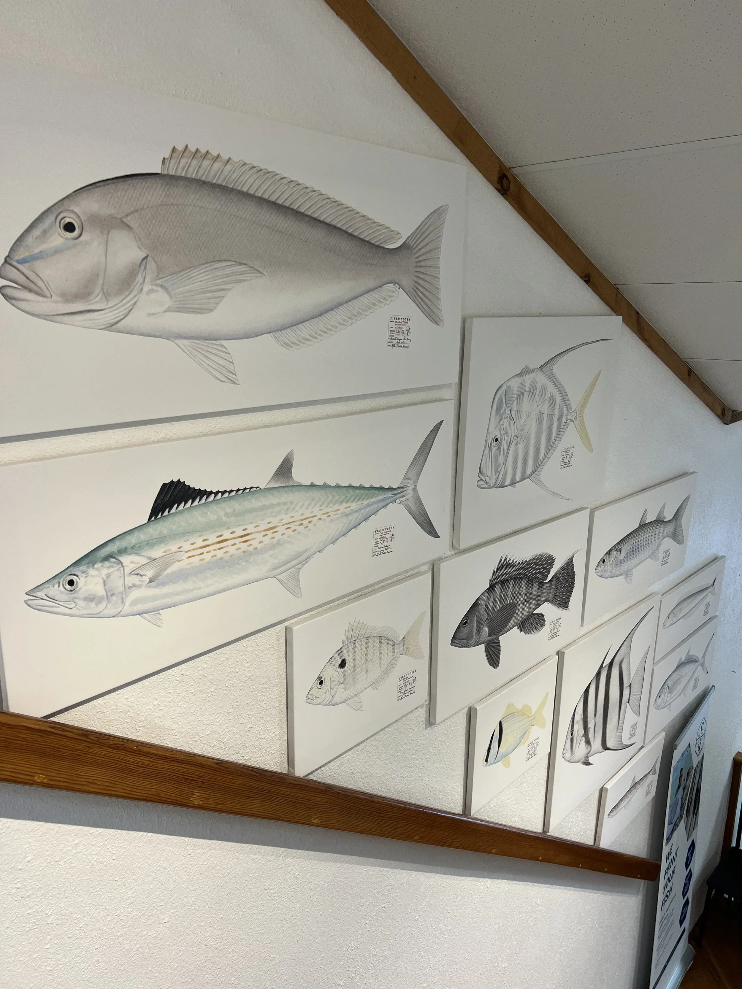 fish print shop 7.webp