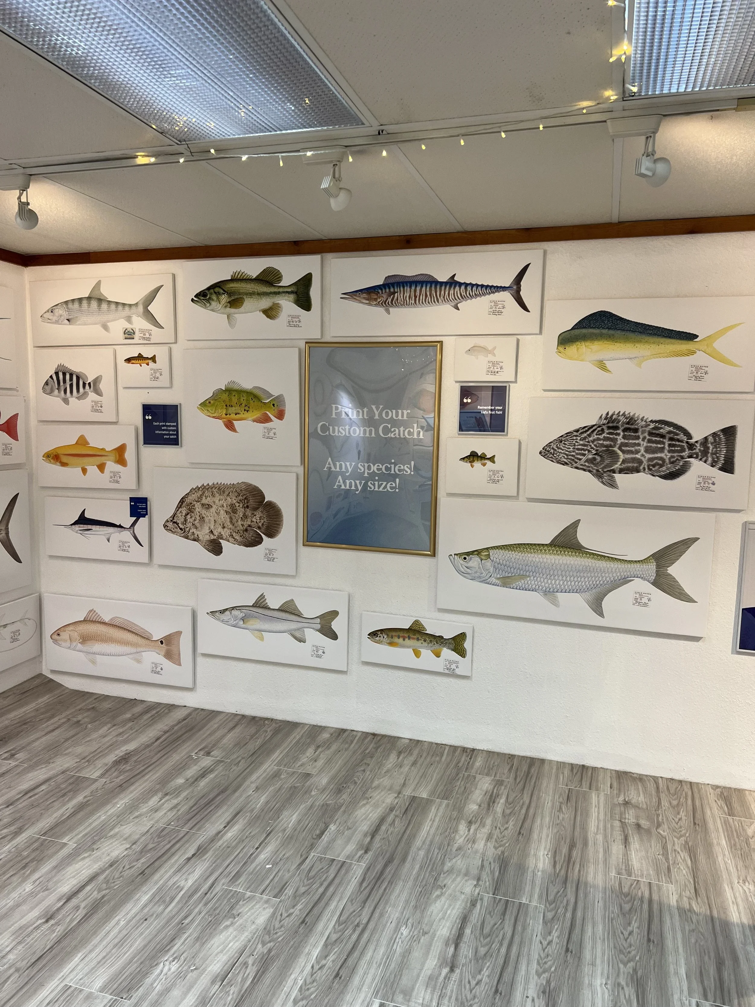 fish print shop 1.webp