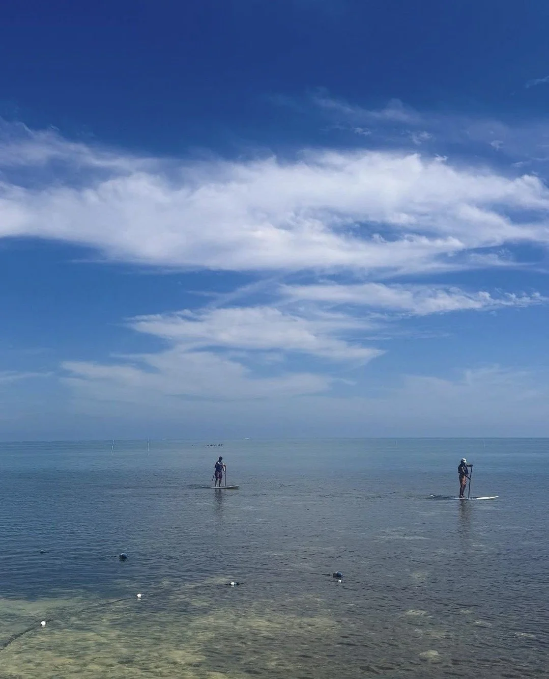 Salt in the air, endless blue ahead, and nowhere else to be ☀️Gliding into golden hour in Islamorada 🌊☁️⁠
⁠
📸 @katemccroryy 
⁠
#islamorada #floridakeys #paddleboardlife #islandescape #oceanvibes #flkeys #vacation ⁠