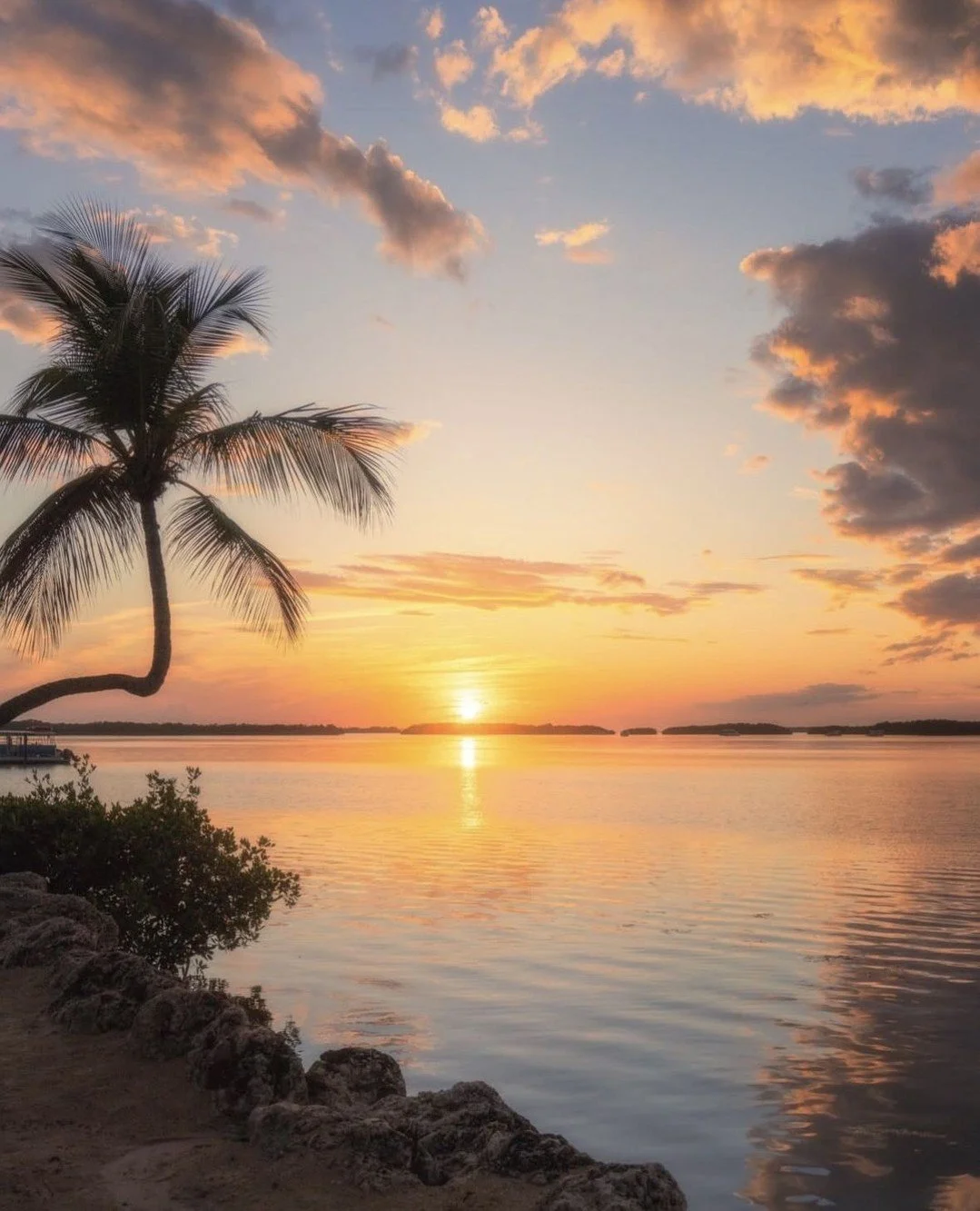 Calm waters and sunsets like this are why people fall in love with Islamorada 🌴☀️ ⁠
⁠
📸 @lisasphotolandscape⁠
⁠
#islamorada #floridakeys #sunsetlovers #paradisefound #keysife #islandlife #visitflorida #oceanviews #naturephotography #vacationmode #t