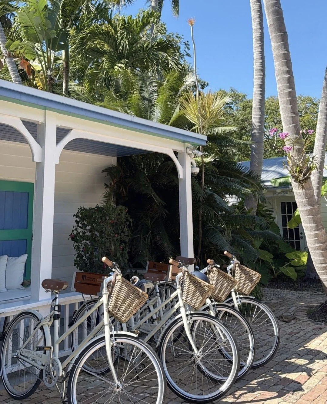 Cruising through paradise, one palm-lined path at a time 🌴☀️⁠
⁠
📸 @lindsayjones1⁠
⁠
#floridakeys #islamorada #keyslife #islandlife #paradisefound #tropicalvibes #visitflorida #beachcruiser #vacationmode #summer #thescoopguideislamorada #saltlife