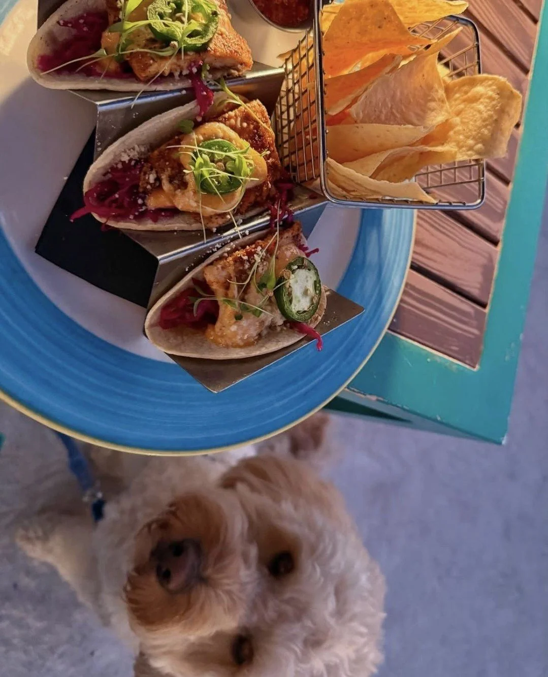 Good food, island vibes, and some of the best sunsets in the Florida Keys. 🌴 @moradabaykeys is the perfect spot to relax, unwind, and enjoy waterfront dining in paradise ☀️🌅⁠
⁠
Open Daily: 11am to 10pm ⁠
⁠
📸 @nhungsnoms⁠
⁠
#moradabay #islamorada #