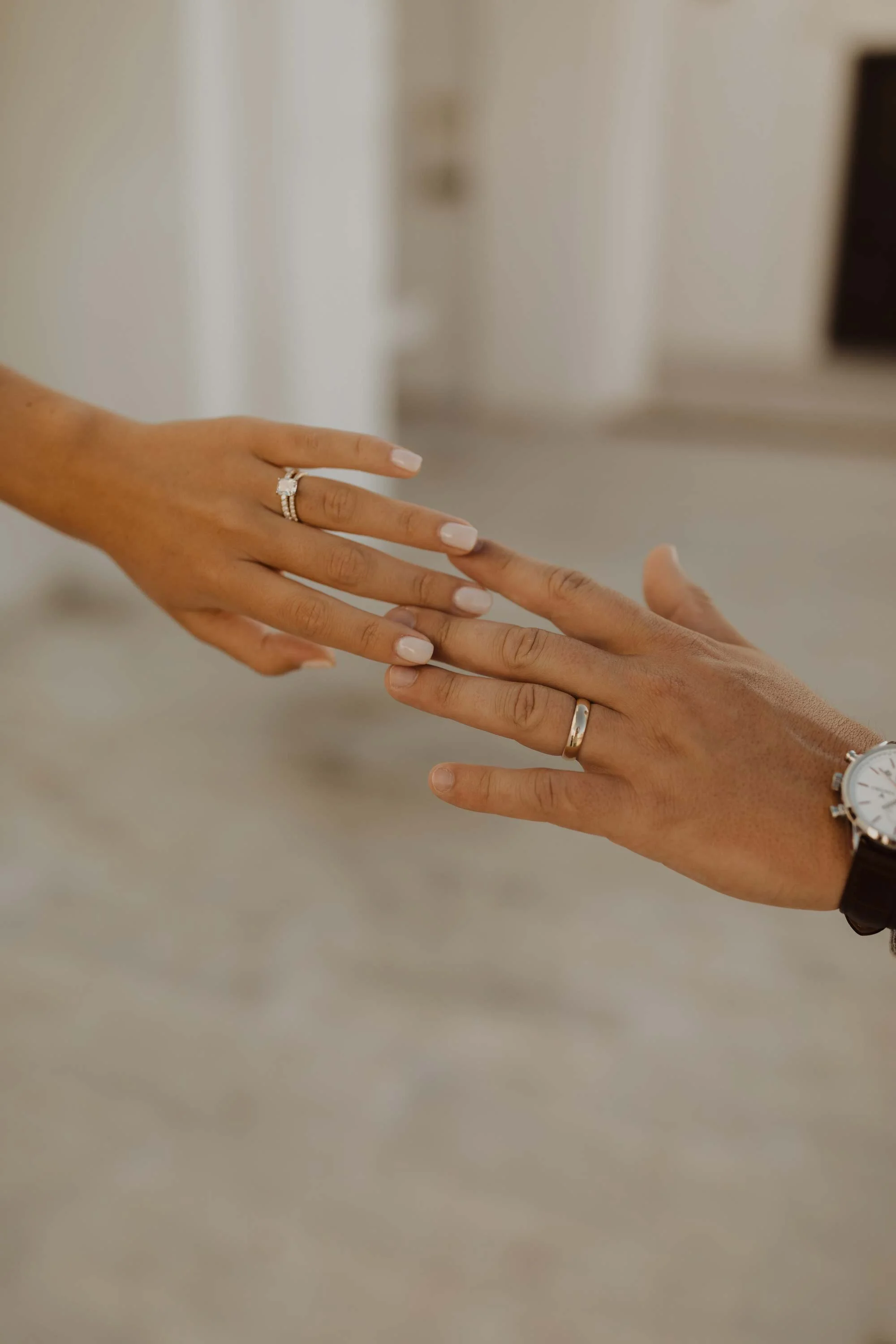 Neutral and warm color palettes for everything