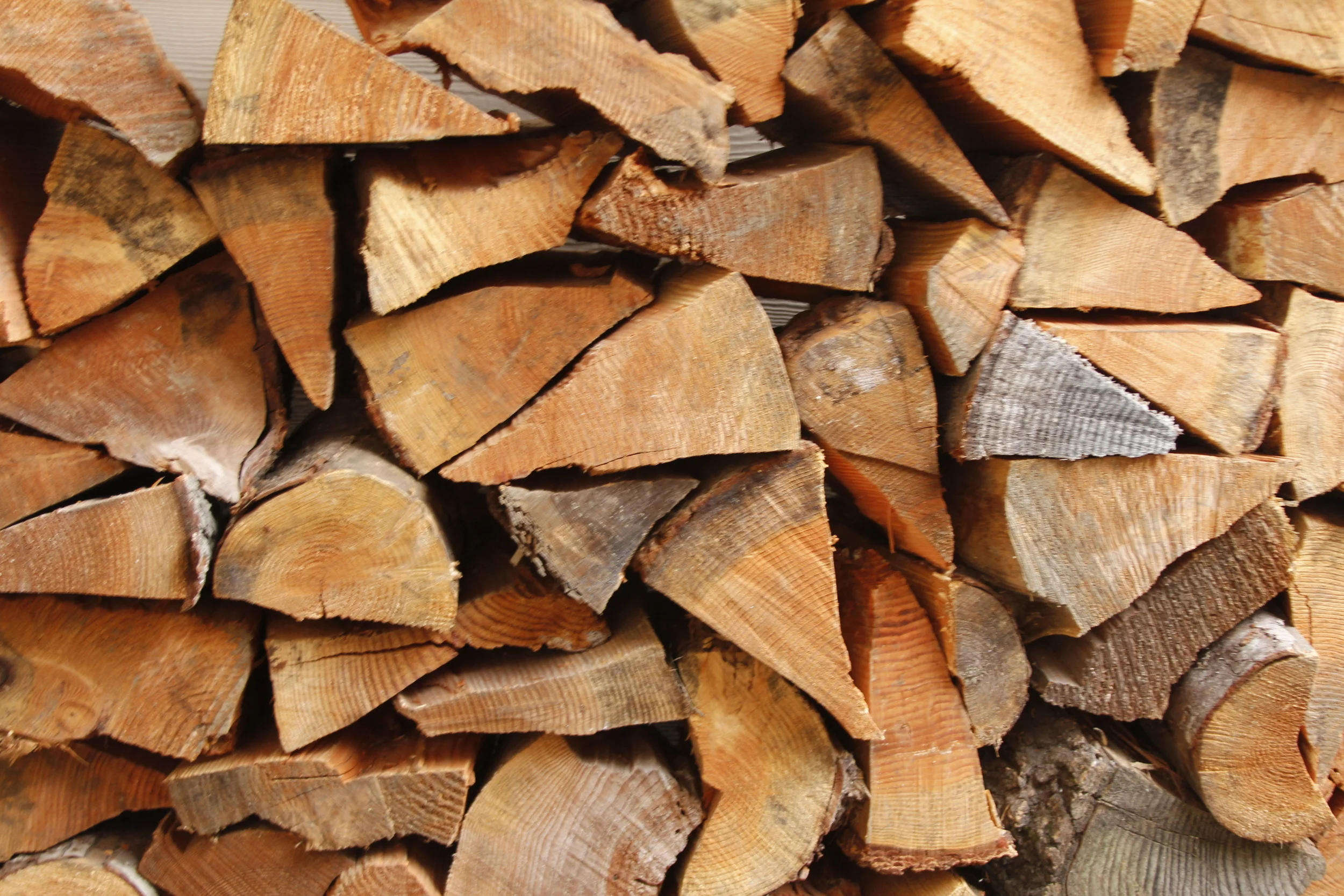 Wood pile 