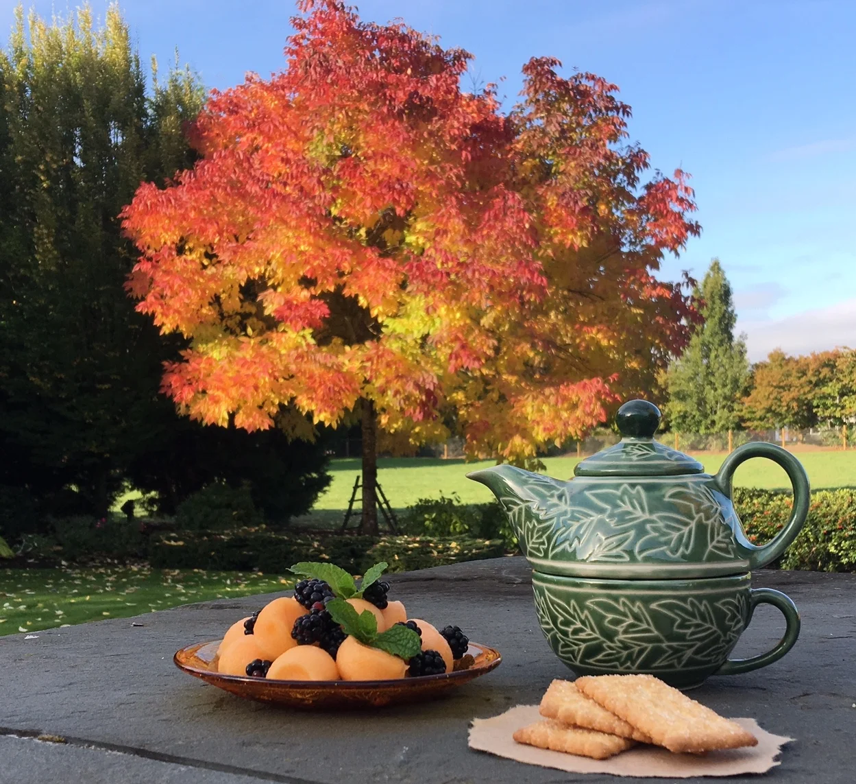 The tree in all it's Autumn Glory 