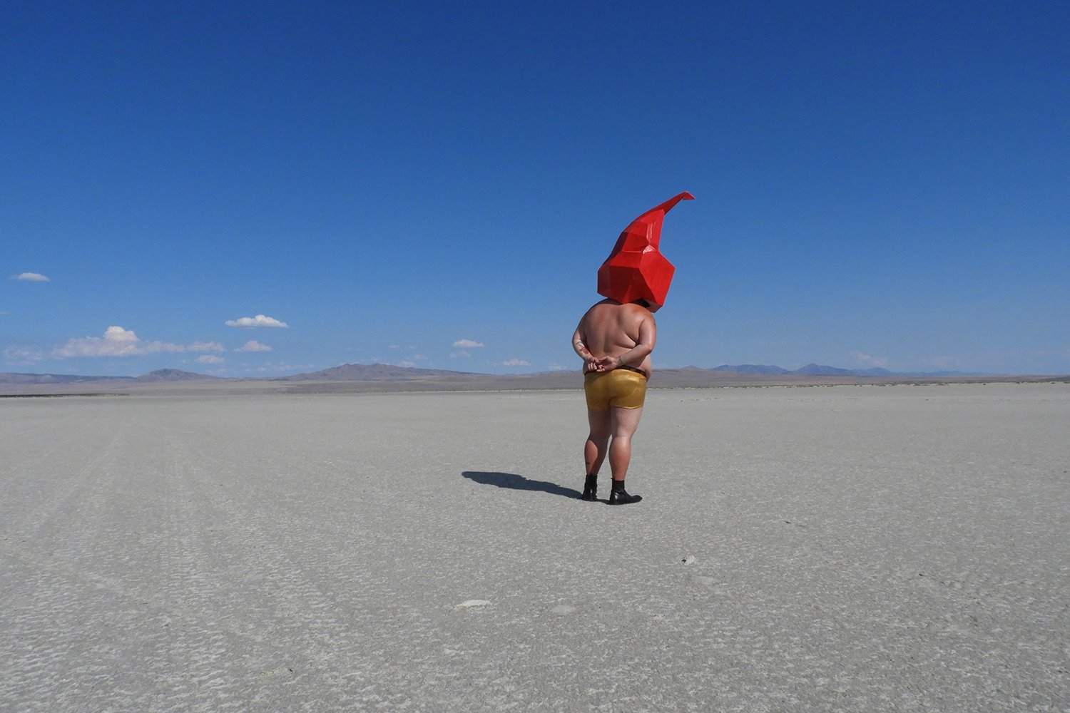 RH Contemplation 24” x 36” 2021 Digital photo, inkjet print