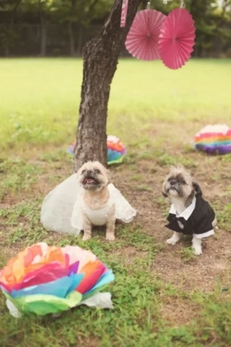  b&amp;b wedding 